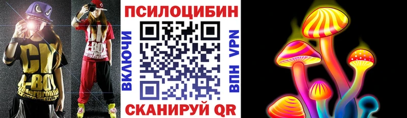 Купить закладки  Катайск  Галлюциногенные грибы мухоморы 